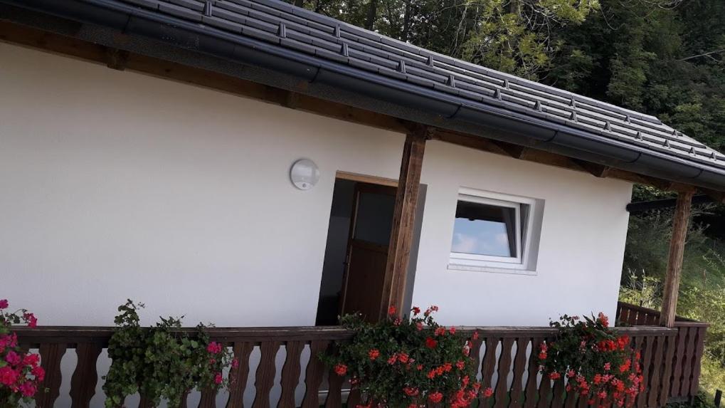 Apartmaji Gorenc بليد المظهر الخارجي الصورة